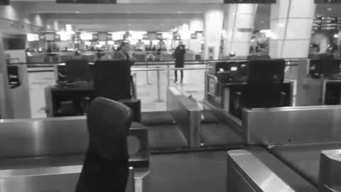Ananova - Fox Darts Around On Airport Luggage Belts