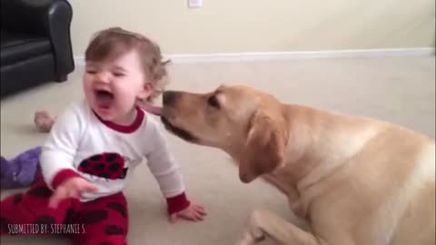 Dog Licking Baby