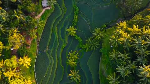 ABSOLUTELY BREATHAKING TIME LAPSE NATURE