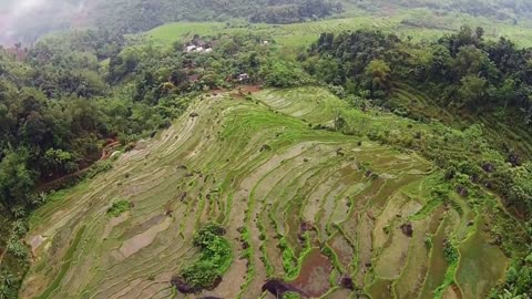 Vietnam View From A Drone