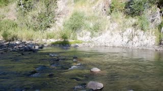 East Carson River