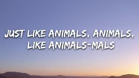 Maroon 5 - Animals lofi