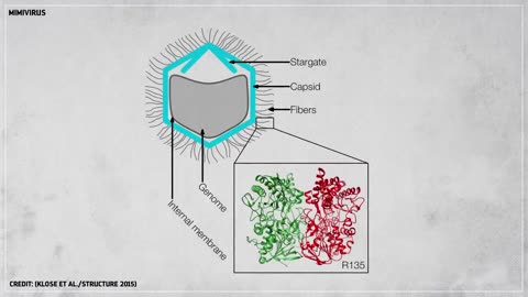 Where did viruses come from? PBS published this video before Covid-19
