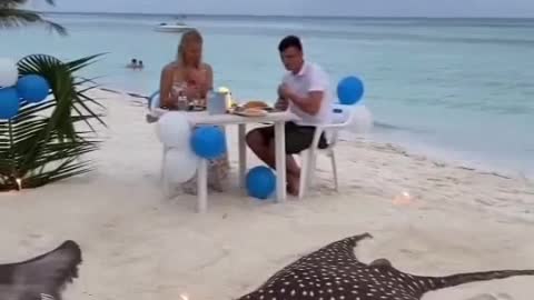 Private Beach Birthday Celebration 🎉🎂
