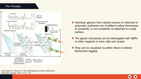 Glycan Microarray