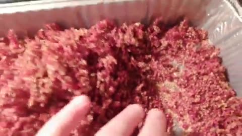 Growing Amaranth for Chicken Feed