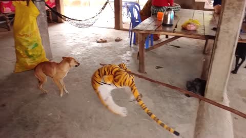 Fake Tiger Pranks Dog!!! Try To Not Laugh Challenge