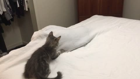 Luna and Case help make the bed