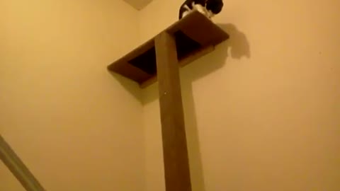 Simple and cheap cat climbing tower