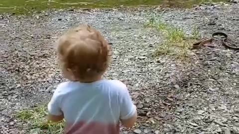 The dog protects the baby from being caught in the sea