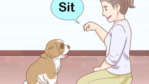 How to Train a Saint Bernard Puppy!