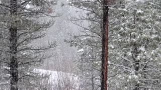 Winter in Idaho City