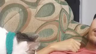 Cat Massages Guy Relaxing on Sofa