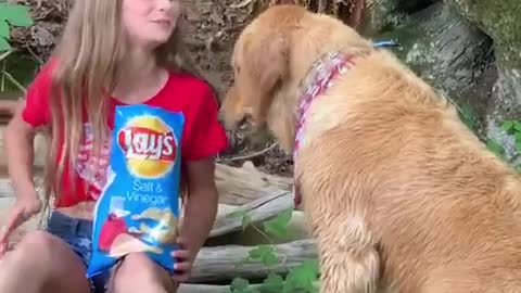 Girl Sharing potato chips with her golden retriever