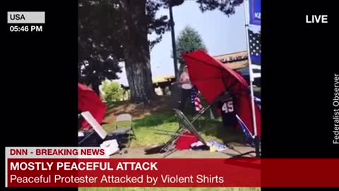 Mostly Peaceful Attack on a Trump Supporter