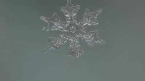 Macro Snowflake Photography And How To Do It