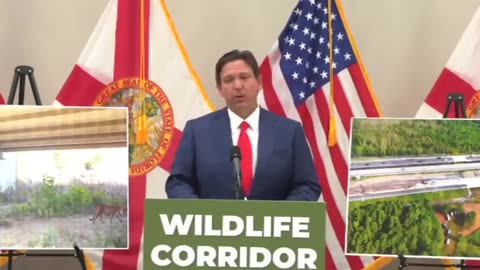 Governor Ron DeSantis of Florida blasts Republicans