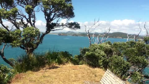 Beautiful New Zealand Beach