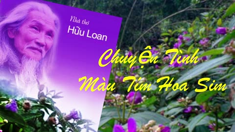 CHUYỆN TÌNH MÀU TÍM HOA SIM