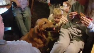 Dog Does The Trick But Baby Gets The Treat