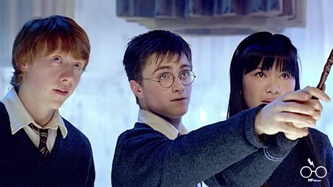 WAS passierte mit diesen Harry Potter Charakteren nach dem Zaubererkrieg?