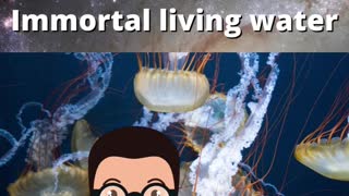 Immortal living water