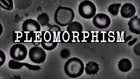 Antoine Béchamp-s Pleomorphism Recorded in Human Blood 2-8-21