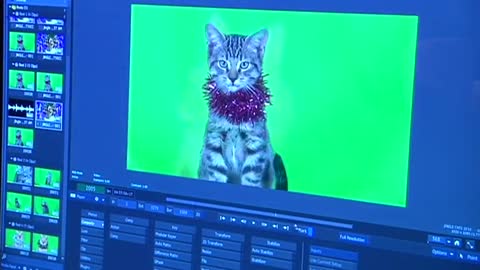 'Jingle Cats' go animated for another purr-fect holiday song