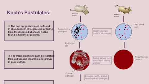 Viruses have never been proven to exist according to Dr. Thomas Cowan