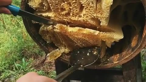 Natural honey extract