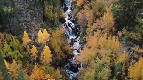Top-5 Eastern Sierra fall color locations with easy access