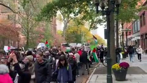 (sick) Yale Sucks... pro-Palestine rally at Yale University