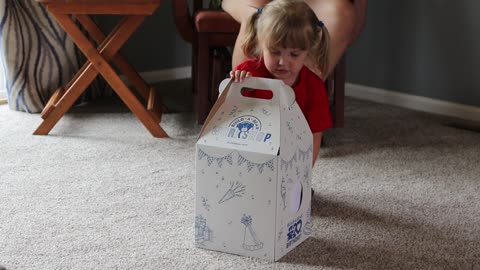 Toddler finds out about her new baby sister