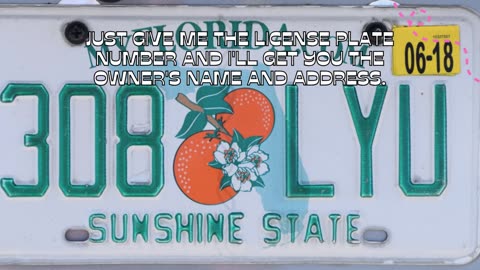 Trying To Identify The Owner of A Vehicle In Florida? Order a Florida License Plate Lookup