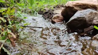 Slow motion of flowing water