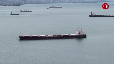 Drone shows ships carrying Ukrainian grain awaiting inspection off Turkey