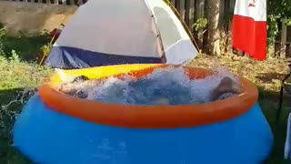 Guy does some olympic swimming in a kiddy pool