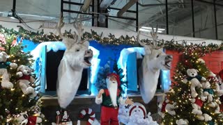 A Christmas carol in a garden centre