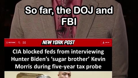 CIA Blocked Feds from Interviewing Hunter Biden’s ‘Sugar Brother’ Kevin Morris