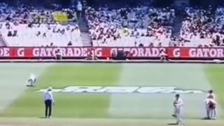 Cricket player knocked by camera
