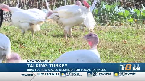 Bird flu drives business to East Tenn. turkey farmers