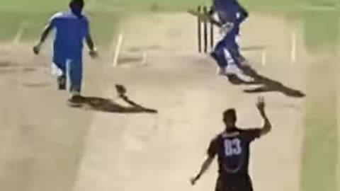Live Cricket Funny Moments Video