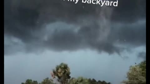 A small tornado in My backyard #caughtoncamera #naturaldisaster #extremeweather #naturefury