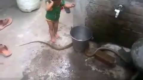 Child is playing with Snake