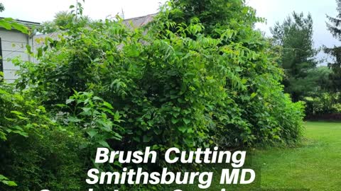 Brush Cutting Smithsburg MD Landscaping Contractor
