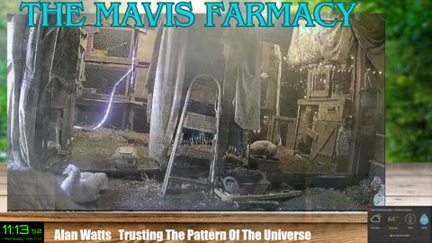 Life on Doc's Farm : Mavis Institute 🎵 🐓🦆🐝🐇🐖: Farmcore