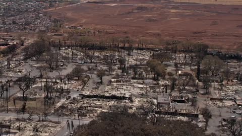 Status of Lahaina banyan tree after fire. I speak with Anthony, the long time caretaker of the tree.