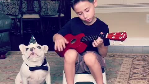 Little Boy Serenades Frenchie For His Second Birthday