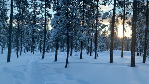 Morning Winter Sun – Central Oregon – Swampy Lakes Sno-Park – 4K