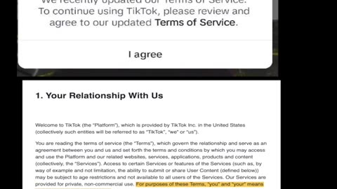 Tiktok Terms of Service